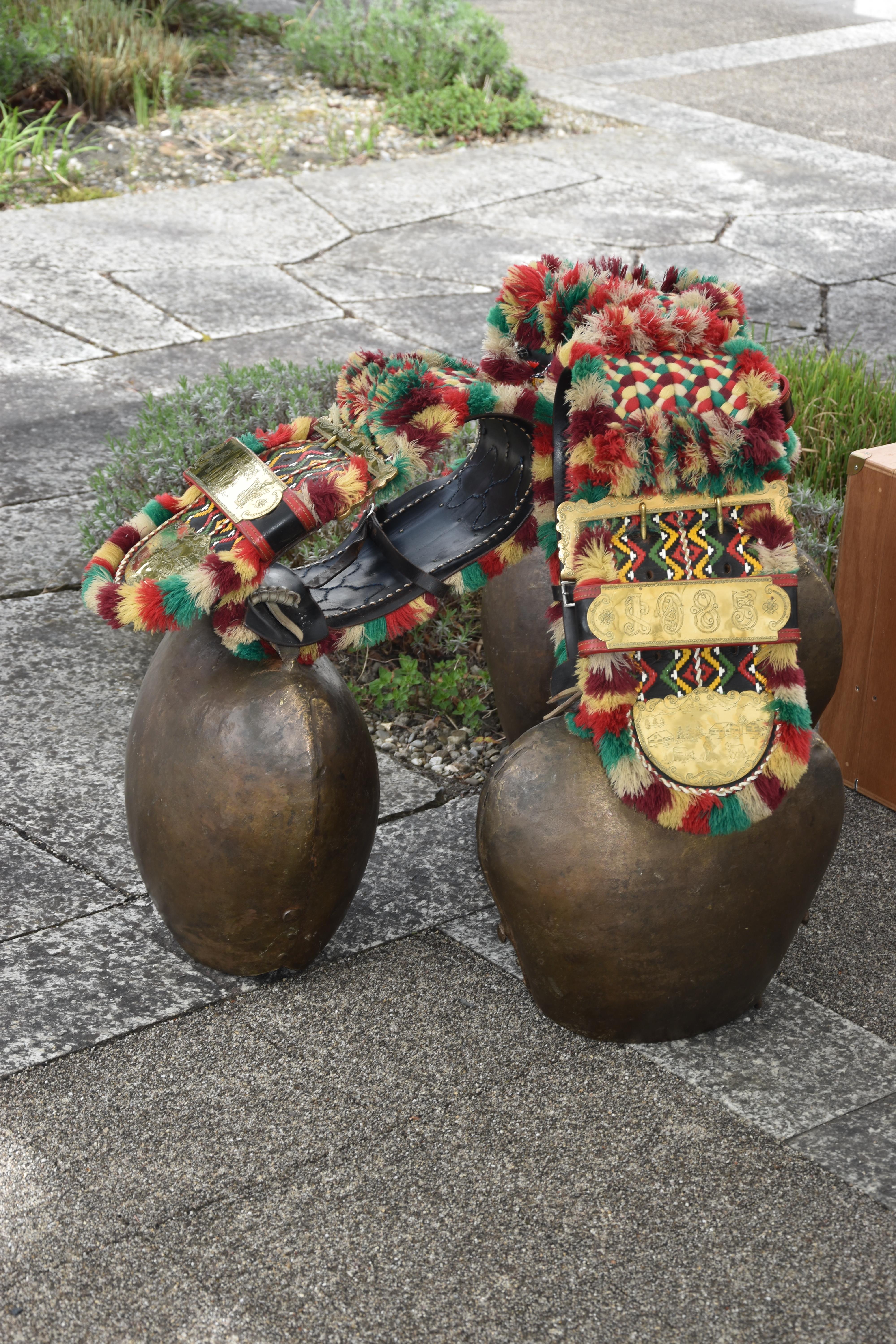 Bergfinkli 07.04.2024