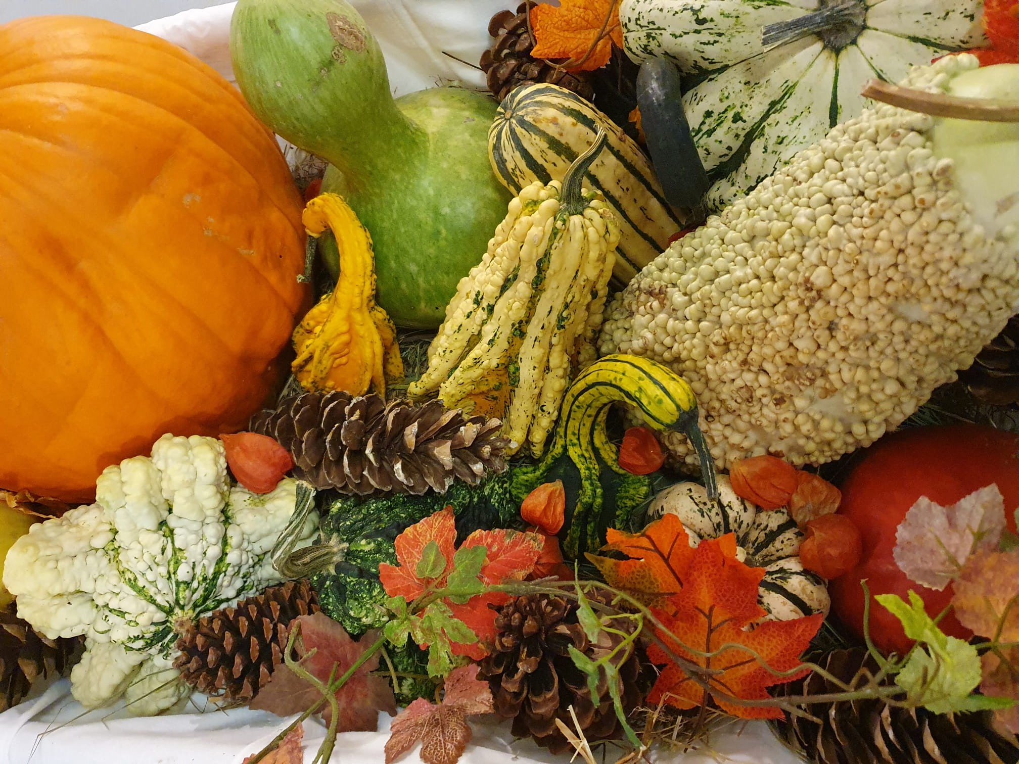 Kürbisfest 08.10.25