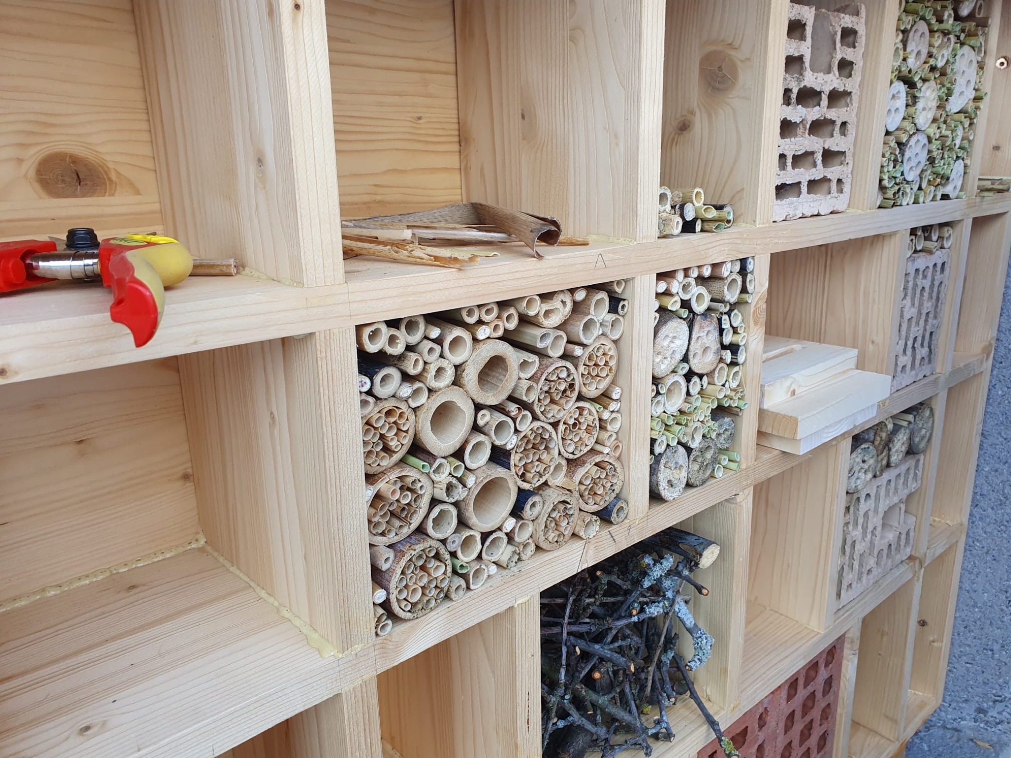 Fleissige Mitbewohner:innen im Stütlihus 